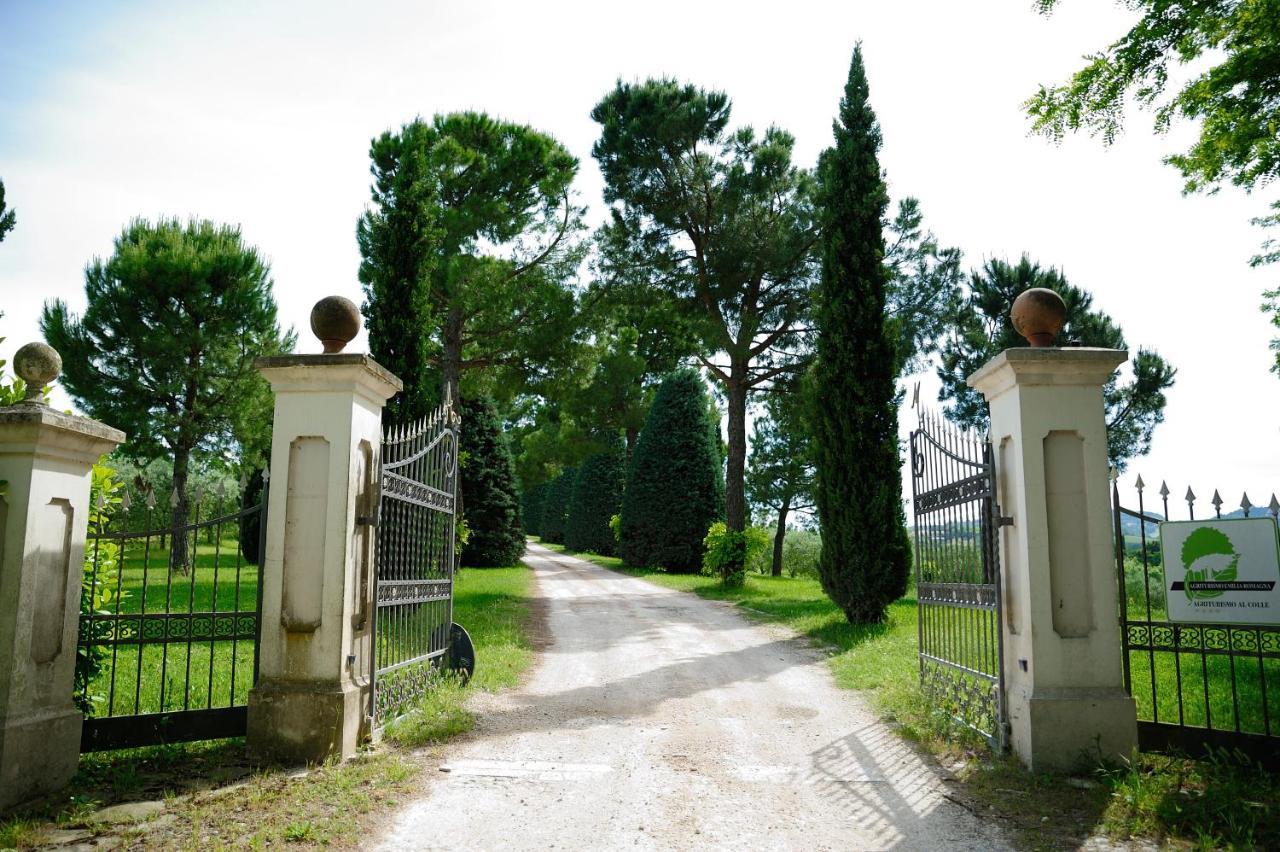 Agriturismo Al Colle Bertinoro Exteriér fotografie