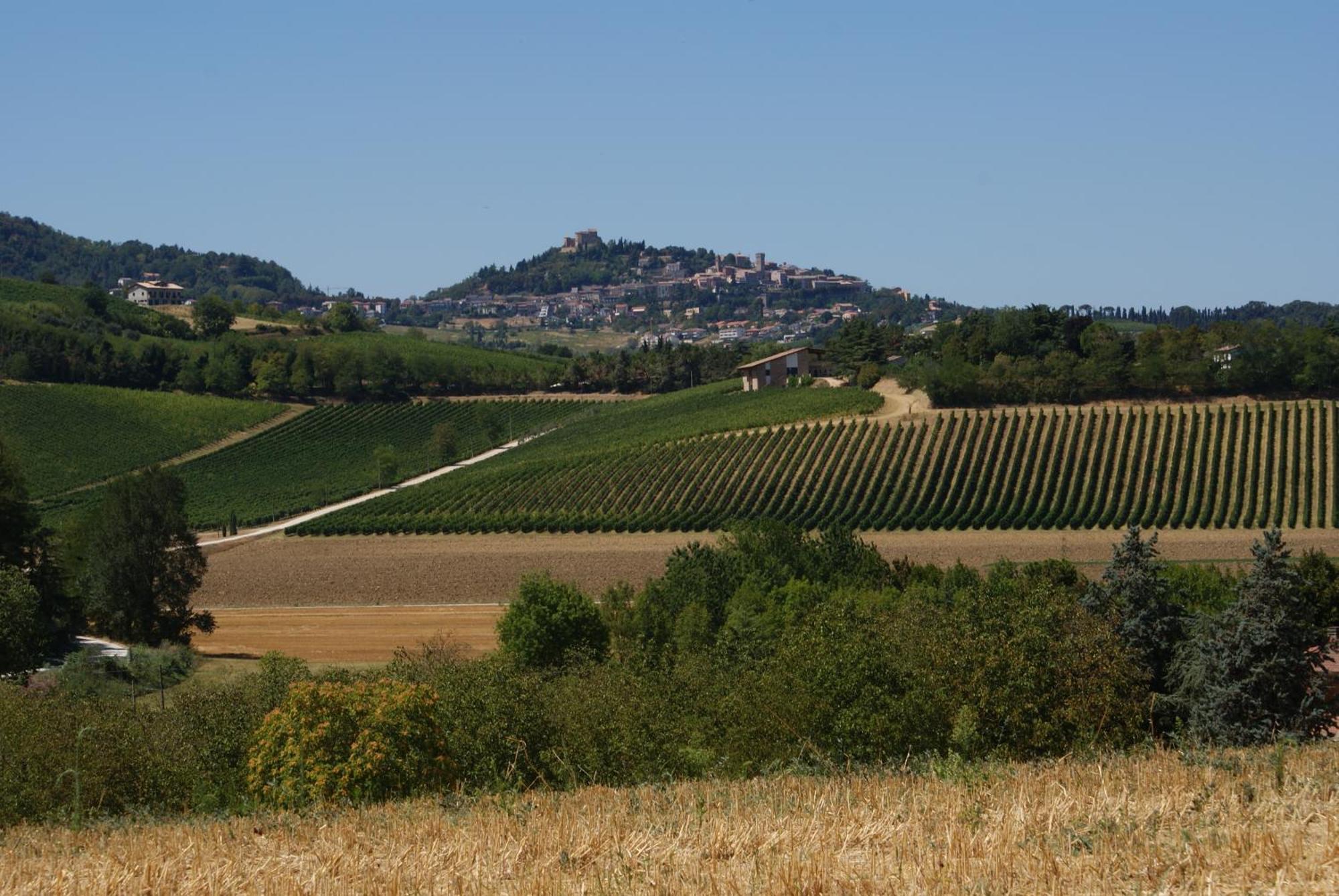 Agriturismo Al Colle Bertinoro Exteriér fotografie